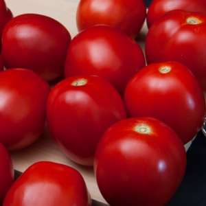 Баста F1 - томат детерминантный 1 000 семян, Clause Франция фото, цена